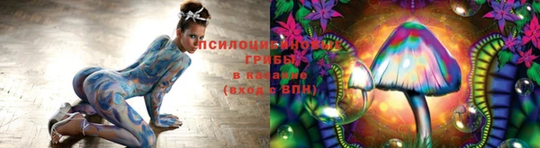 spice Алексеевка
