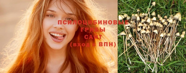MESCALINE Алзамай