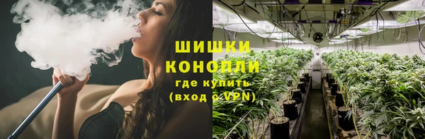 spice Алексеевка