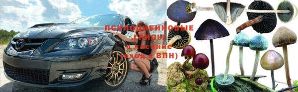 прущие крисы Новокубанск