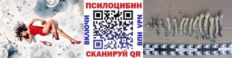 Галлюциногенные грибы Psilocybe  Крымск 